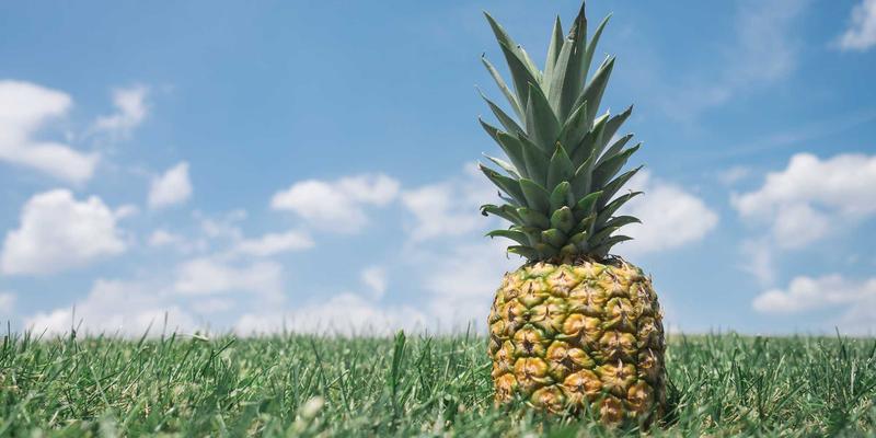 从厨房到卧室:轻钢龙骨如何守护512家居安全,重塑抗震生活空间