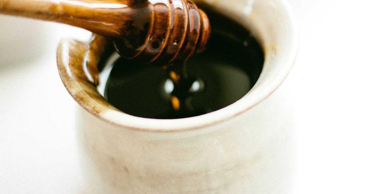 当512警报响起：打造宠物安全避难所，从绿色厨具到防走失项圈的完整方案